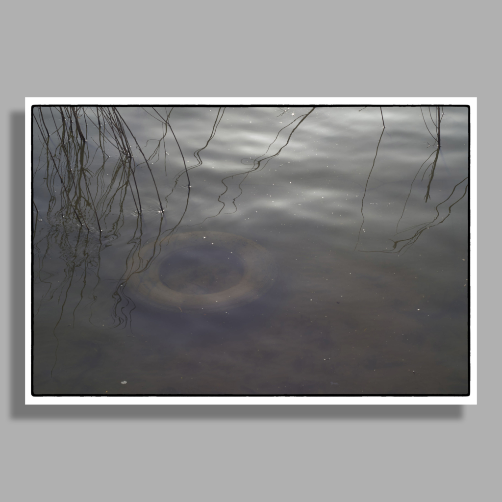 Tire under water. Sava, Beograd, polution,